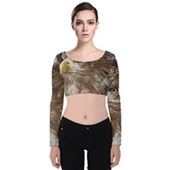 Sea Eagle Raptor Nature Predator Velvet Long Sleeve Crop Top by Pakrebo