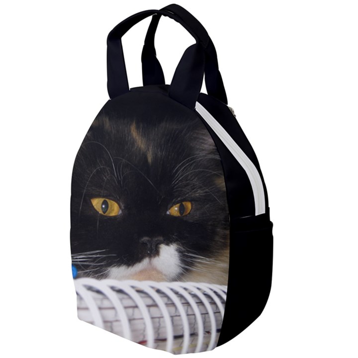 Cat Wanna Study Travel Backpacks