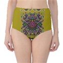 Ornate Dots And Decorative Colors Classic High-Waist Bikini Bottoms View1