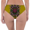 Ornate Dots And Decorative Colors Reversible Classic Bikini Bottoms View2