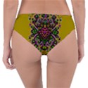 Ornate Dots And Decorative Colors Reversible Classic Bikini Bottoms View4