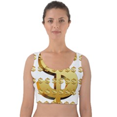 Dollar Money Gold Finance Sign Velvet Crop Top