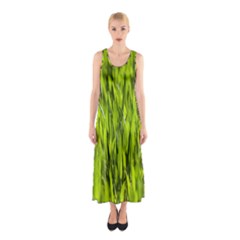 Agricultural Field   Sleeveless Maxi Dress by rsooll