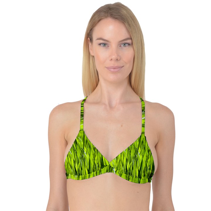 Agricultural field   Reversible Tri Bikini Top