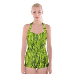 Agricultural Field   Boyleg Halter Swimsuit  by rsooll