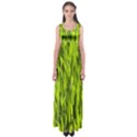 Agricultural field   Empire Waist Maxi Dress View1