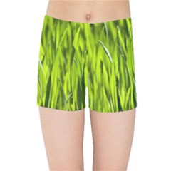 Agricultural Field   Kids  Sports Shorts by rsooll