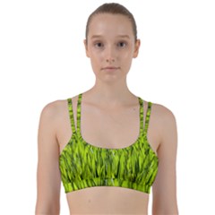 Agricultural Field   Line Them Up Sports Bra by rsooll