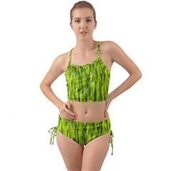 Agricultural Field   Mini Tank Bikini Set