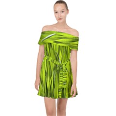 Agricultural Field   Off Shoulder Chiffon Dress by rsooll