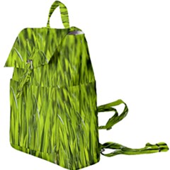 Agricultural Field   Buckle Everyday Backpack