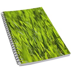 Agricultural Field   5 5  X 8 5  Notebook