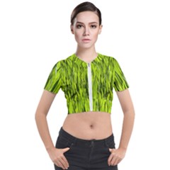 Agricultural Field   Short Sleeve Cropped Jacket by rsooll