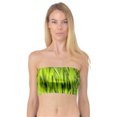 Agricultural Field   Bandeau Top by rsooll