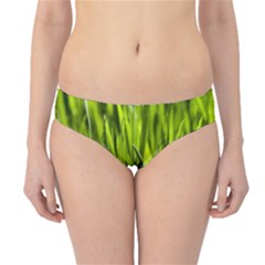 Agricultural Field   Hipster Bikini Bottoms by rsooll