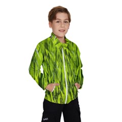 Agricultural Field   Kids  Windbreaker