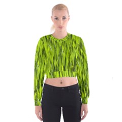 Agricultural Field   Cropped Sweatshirt by rsooll