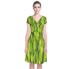 Agricultural Field   Short Sleeve Front Wrap Dress by rsooll