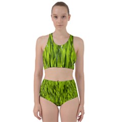 Agricultural Field   Racer Back Bikini Set by rsooll