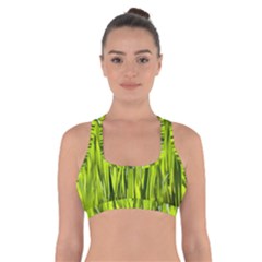 Agricultural Field   Cross Back Sports Bra by rsooll