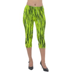 Agricultural Field   Lightweight Velour Capri Leggings 