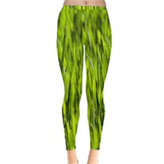 Agricultural Field   Inside Out Leggings by rsooll