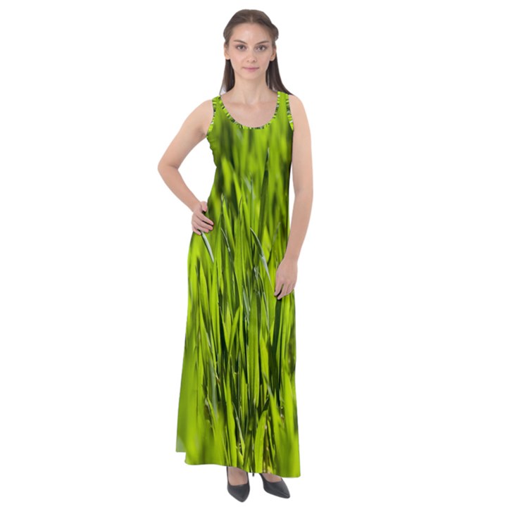 Agricultural field   Sleeveless Velour Maxi Dress