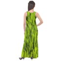 Agricultural field   Sleeveless Velour Maxi Dress View2