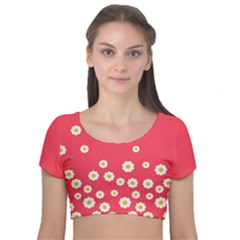 Flowers White Daisies Pattern Red Background Flowers White Daisies Pattern Red Bottom Velvet Short Sleeve Crop Top  by genx