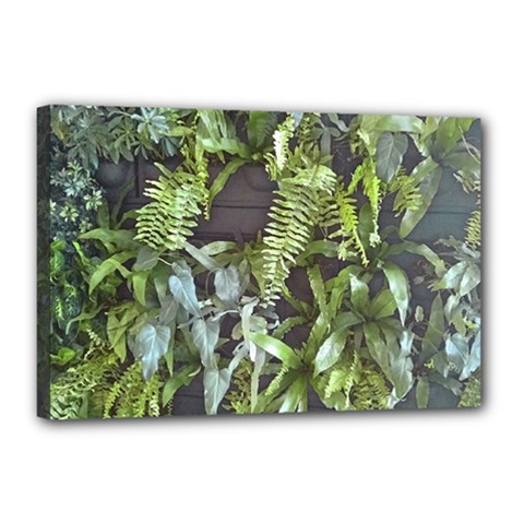 Living Wall Canvas 18  X 12  (stretched) by Riverwoman