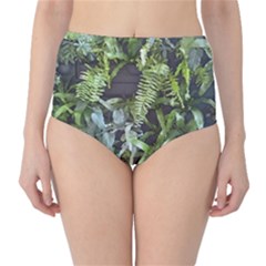 Living Wall Classic High-waist Bikini Bottoms by Riverwoman