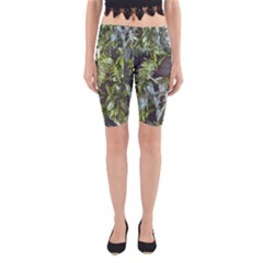 Living Wall Yoga Cropped Leggings by Riverwoman