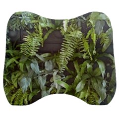 Living Wall Velour Head Support Cushion by Riverwoman