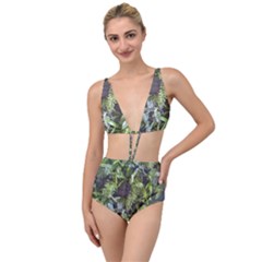 Living Wall Tied Up Two Piece Swimsuit by Riverwoman