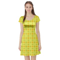 Traditional Patterns Chrysanthemum Short Sleeve Skater Dress by Pakrebo