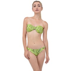 Seamless Pattern Green Garden Classic Bandeau Bikini Set by Pakrebo