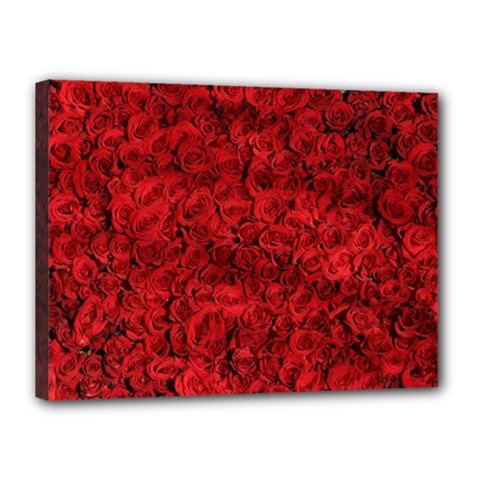 Rose Roses Flowers Red Valentine Canvas 16  X 12  (stretched) by Pakrebo