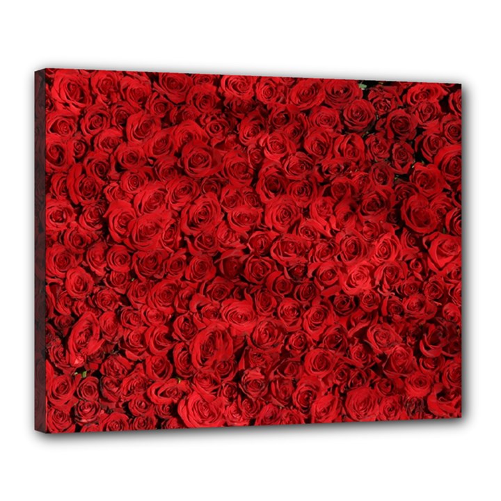 Rose Roses Flowers Red Valentine Canvas 20  x 16  (Stretched)