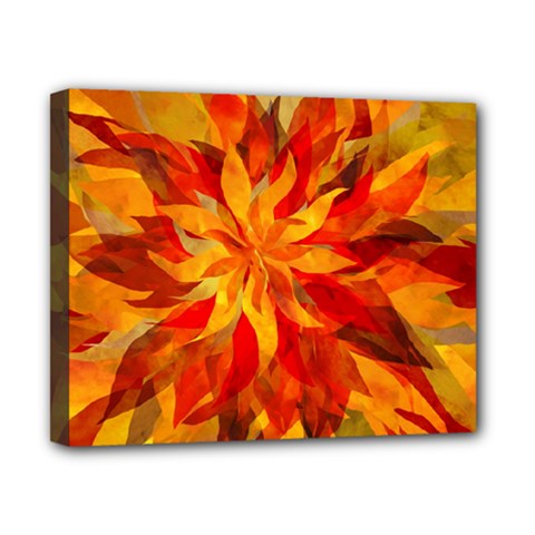 Flower Blossom Red Orange Abstract Canvas 10  X 8  (stretched) by Pakrebo