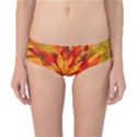 Flower Blossom Red Orange Abstract Classic Bikini Bottoms View1