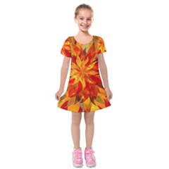 Flower Blossom Red Orange Abstract Kids  Short Sleeve Velvet Dress by Pakrebo