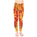 Flower Blossom Red Orange Abstract Kids  Legging View1