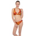 Flower Blossom Red Orange Abstract Classic Banded Bikini Set  View1