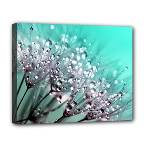 Dandelion Seeds Flower Nature Deluxe Canvas 20  X 16  (stretched) by Pakrebo