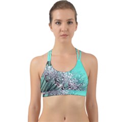 Dandelion Seeds Flower Nature Back Web Sports Bra by Pakrebo