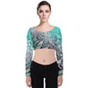 Dandelion Seeds Flower Nature Velvet Long Sleeve Crop Top View1