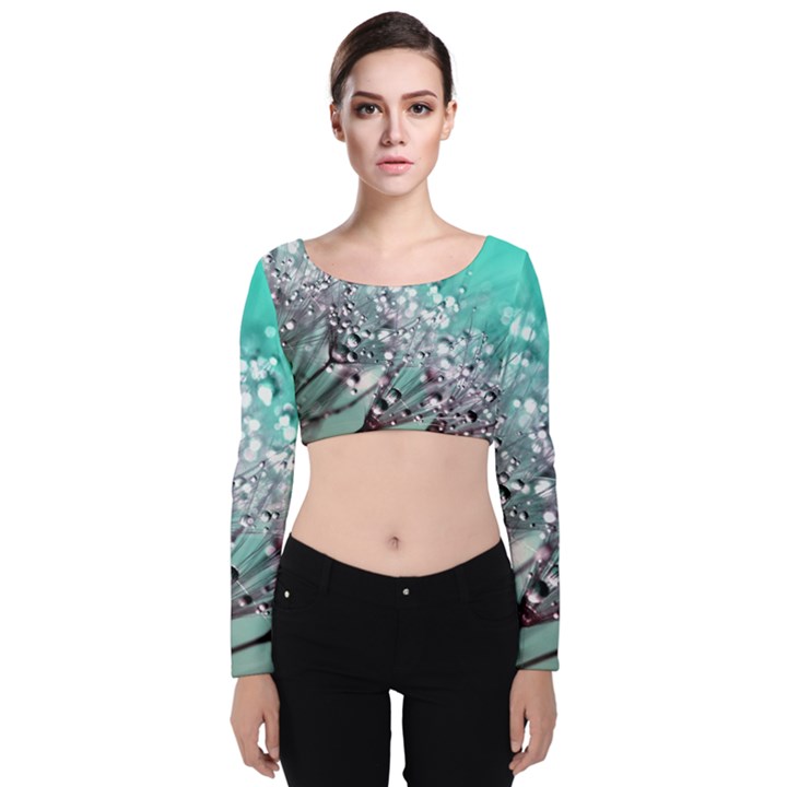 Dandelion Seeds Flower Nature Velvet Long Sleeve Crop Top