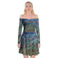 Peacock Feathers Colorful Feather Off Shoulder Skater Dress by Pakrebo