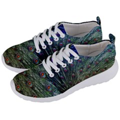 Peacock Feathers Colorful Feather Men s Lightweight Sports Shoes by Pakrebo