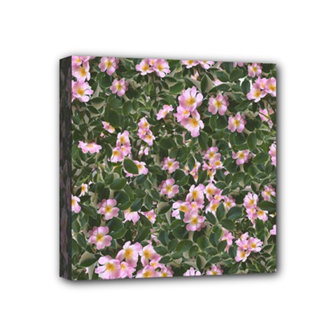 Pink Flowers Leaves Spring Garden Mini Canvas 4  X 4  (stretched) by Pakrebo